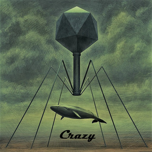 狂（Prod.by何维鑫）