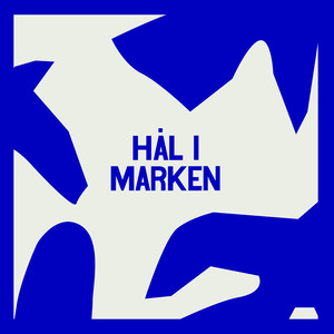 Hål i marken