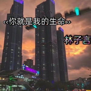 你就是我的生命