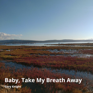 Baby, Take My Breath Away