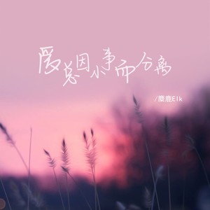 爱总因小事而分离 (DJ版)