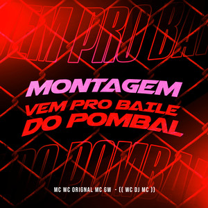 Montagem - Vem pro Baile do Pombal (Explicit)