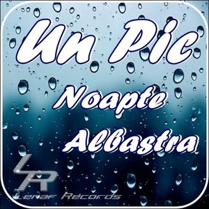 Noapte Albastra