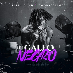 El Gallo Negro