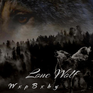 Lone Wolf (Explicit)