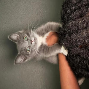 Next to me (Explicit)