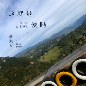 这就是爱吗 (DJ豪大大版)封面