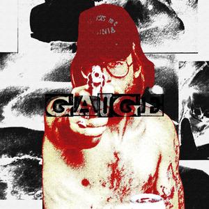 GAUGE (Explicit)