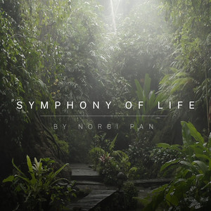 Symphony of Life