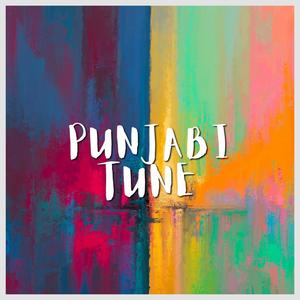 Punjabi Tune