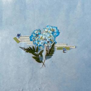 Now or Never (Scissors)