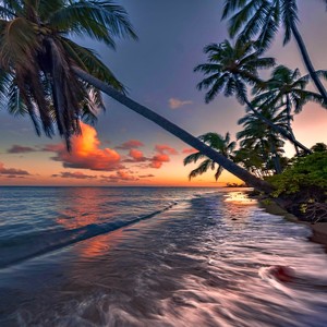 Stay in my mind (Hodgepodge Version)