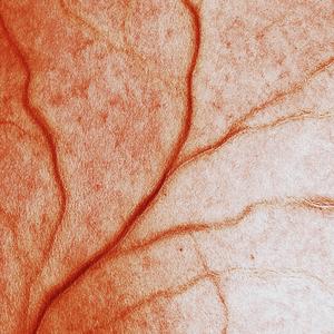 Manipulasi (feat. Harith Azrie) (Explicit)