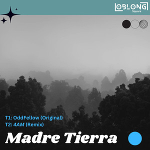 Madre Tierra - Minimal Tech Rework