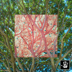 Vista (Minus Five Wolves Remix)