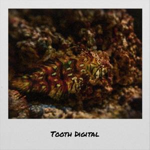 Tooth Digital