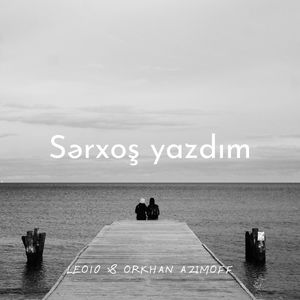 Sərxoş yazdım