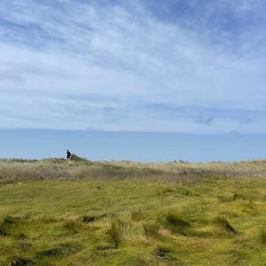 Along The Marsh