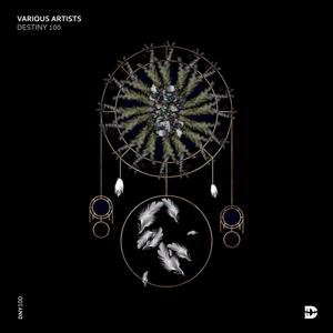 The Seed (Original Mix)