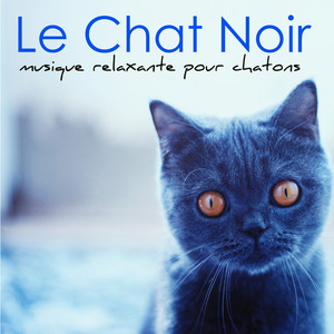 Le Chat Noir – Musique relaxante pour chatons et tous les animaux qu'on adore