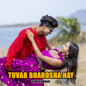 Tuvar Bharosha Hay