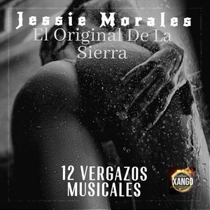 12 Vergazos Musicales (Explicit)