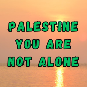 Palestine you are not alone