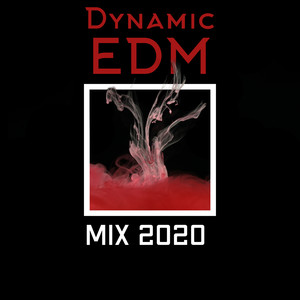 Dynamic EDM Mix 2020