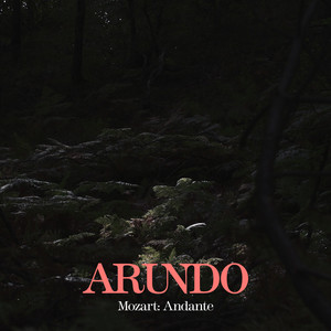 Piano Sonata No. 16 in C Major, K. 545 (Arr. Arundo for Saxophone and Piano) : II. Andante