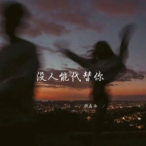 没人能代替你 (1.1加速版)