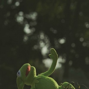 【尼罗·义父】知身是客