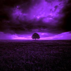 1 janvier 2022 /  Cette vie que tu mènes (Explicit)