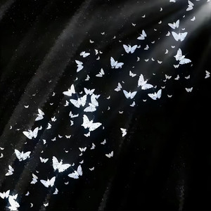 自由是灵魂的氧气 (降速版)