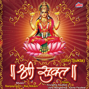 Jay Aadyashakti Maa Jay Aadyashakti