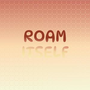 Roam Itself