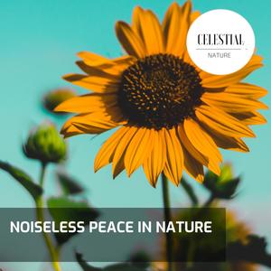 Noiseless Peace in Nature