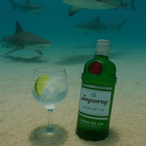 VEM CA PRO BOLOLO QUE TEM TANQUERAY (feat. OVNI)