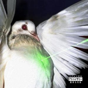 BÏR (Explicit)