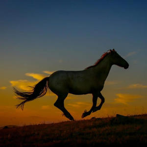 Linger (DEMO Version)