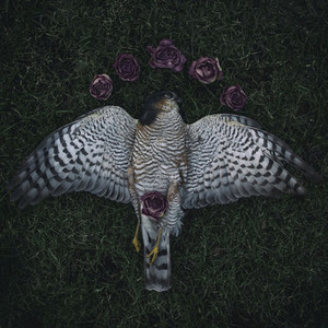 Tommishock - Ydintalvi