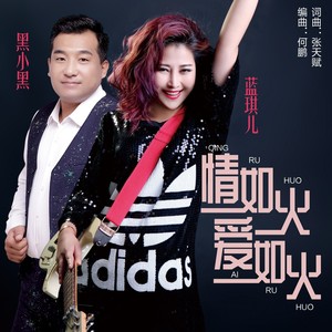 情如火爱如火 (DJ何鹏版伴奏)