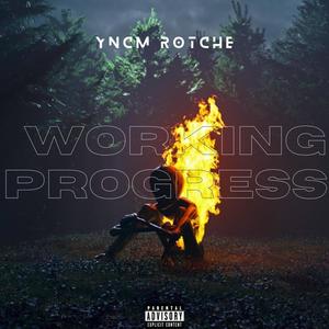 Working Progress (OoH) [Explicit]