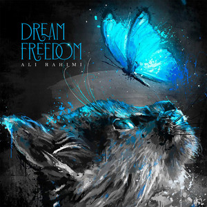 Dream Freedom