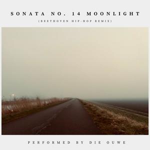 Sonata No. 14 Moonlight (Beethoven Hip-Hop Remix)