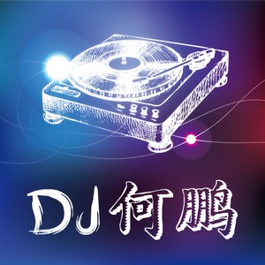不做你幸福的玫瑰 (DJ何鹏版)