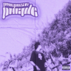 PURPOSE PURPLE (Explicit)