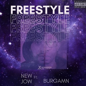 Freestyle (feat. Burgamn) [Explicit]