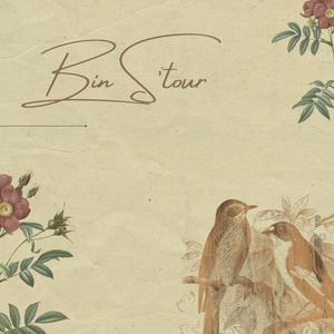 Bin S'tour