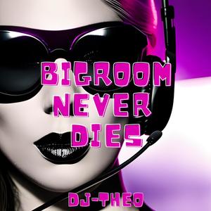 Bigroom never dies