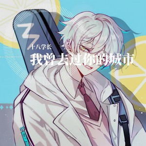 我曾去过你的城市